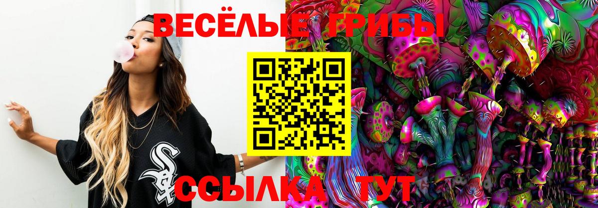 Псилоцибиновые грибы GOLDEN TEACHER Спасск-Дальний